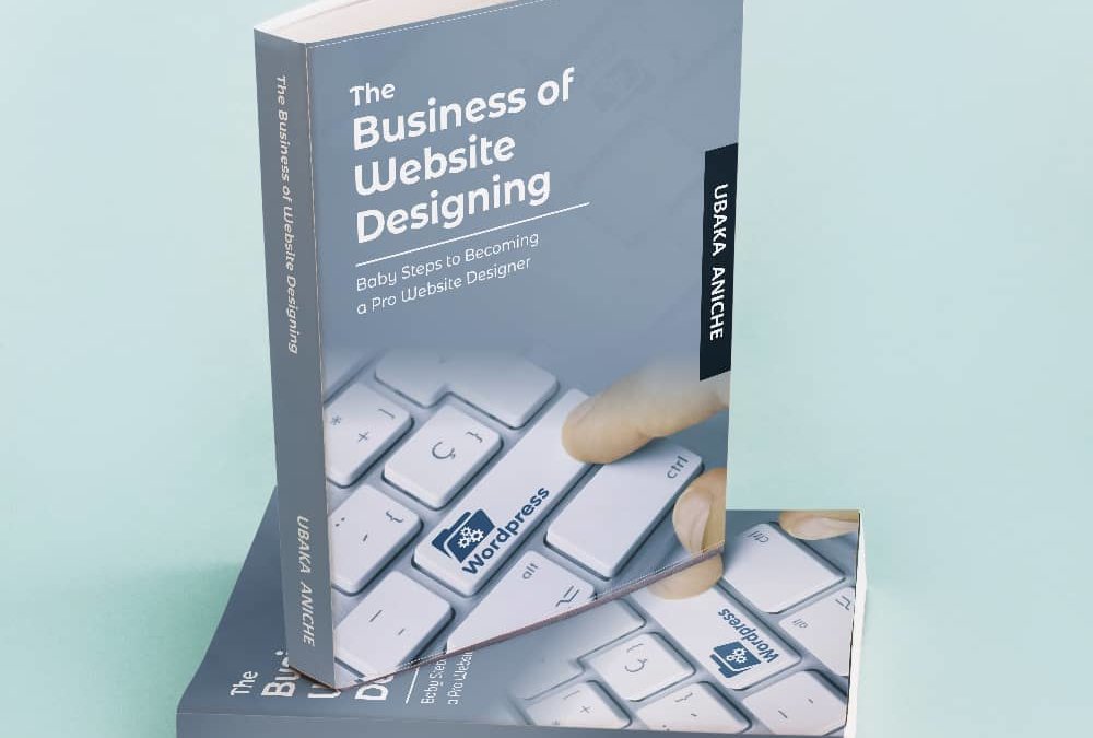 THE BUSINESS OF WEBSITE DESIGNING – UBAKA ANICHE